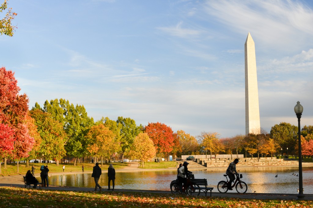 Washington-DC-Landscape-RENTCafe