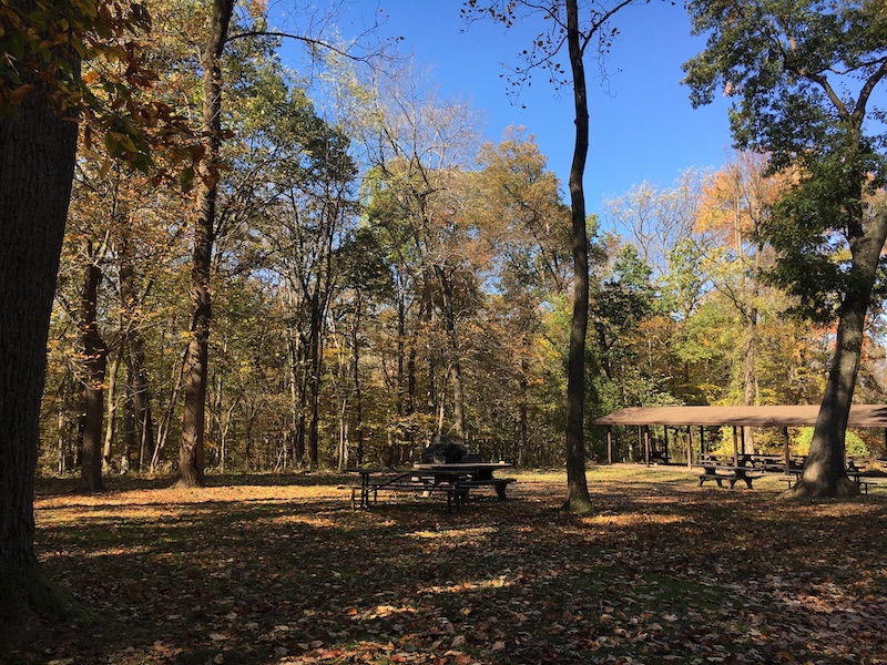 autumn in rock creek park