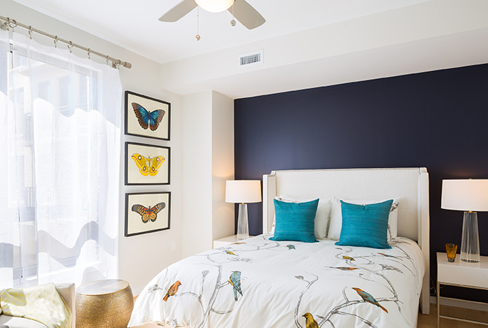 A bedroom with pillows and comforter, paintings of butterflies hanging on the wall with a black accent.